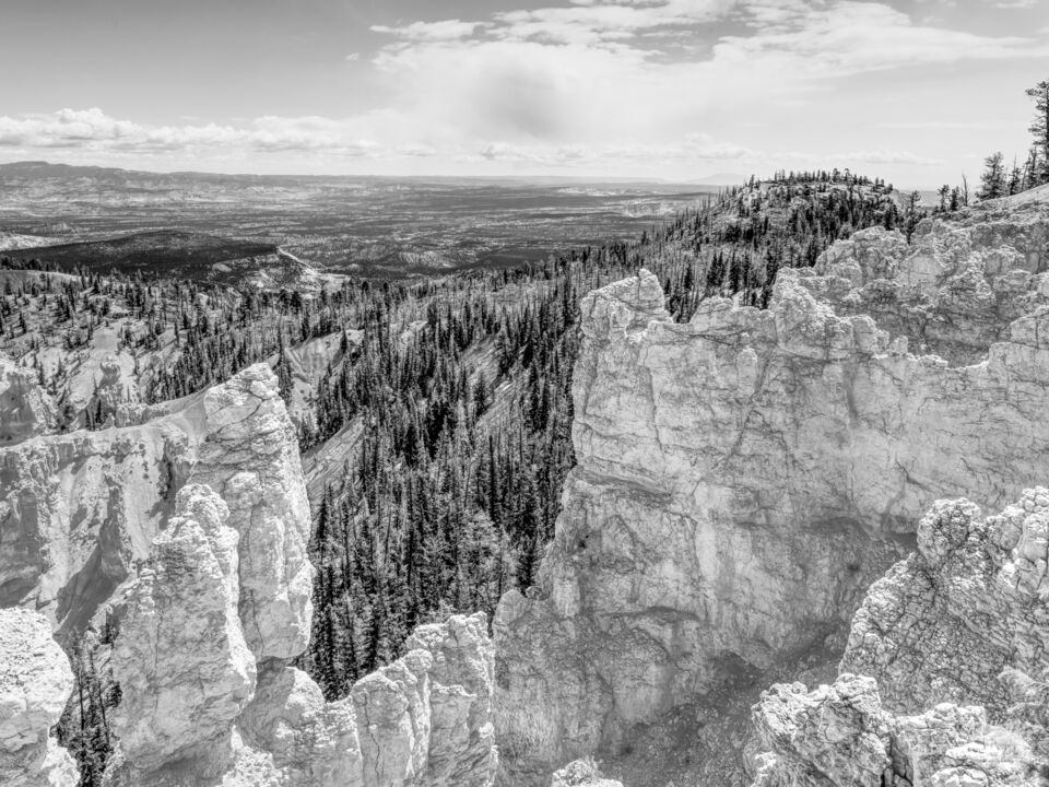 Bryce Canyon Frame Grayscale