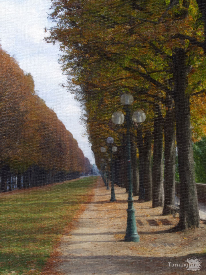Trees Along the Seine