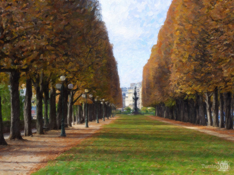 Rows of Trees Along the Seine