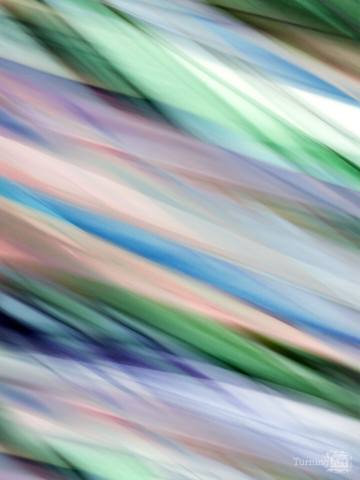 Botanical Colorful B