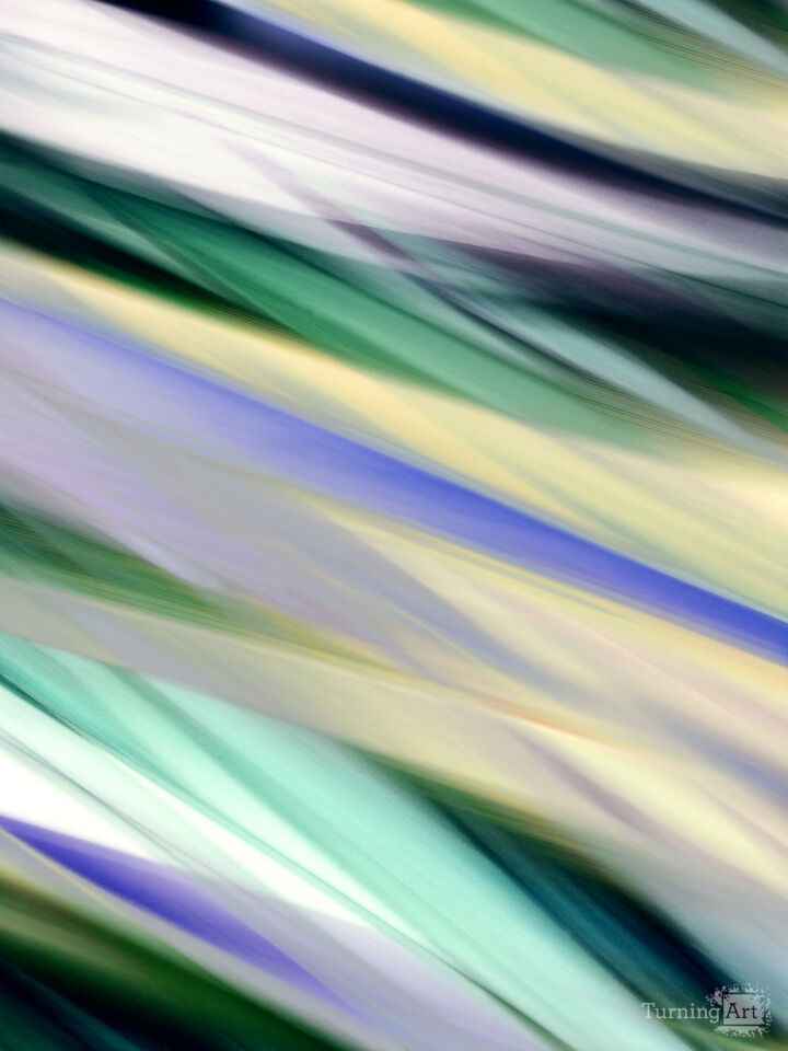 Botanical Colorful C