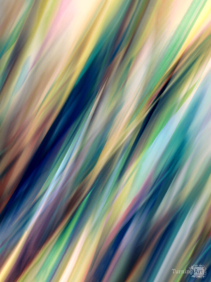 Botanical Colorful F