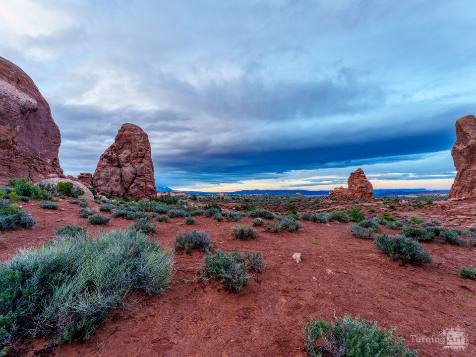 Arches Windows Section Early Dawn