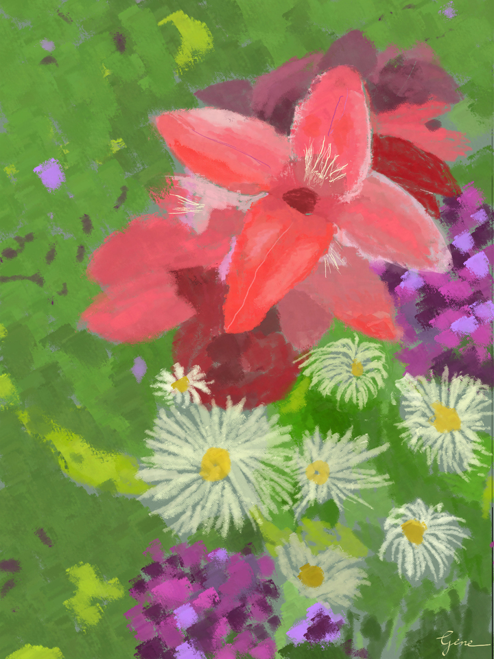 Gladiolus and Daisies