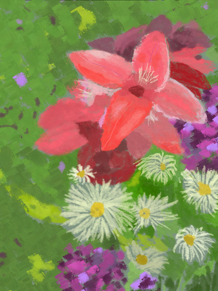 Gladiolus and Daisies