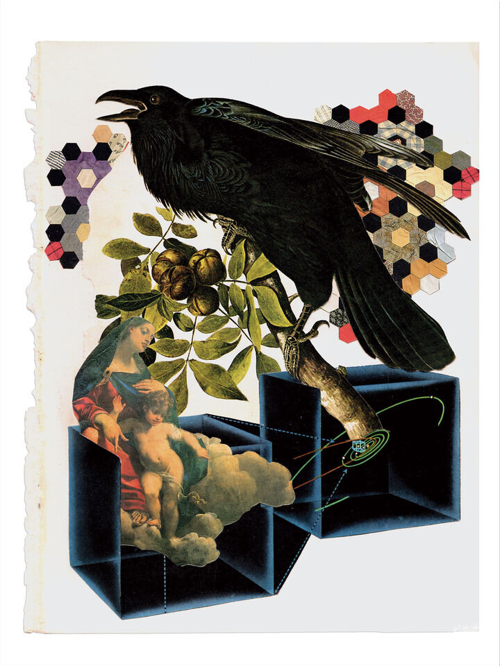 Raven