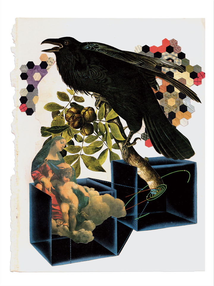 Raven