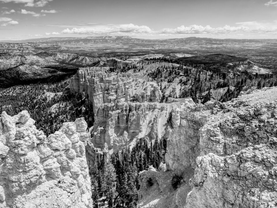 Bryce Rainbow Point Hoodoos View Grayscale