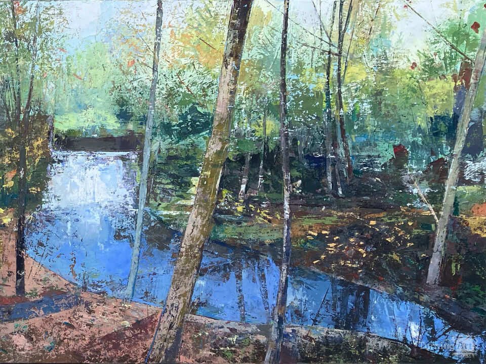 Stream in the Forest