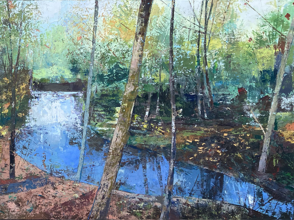 Stream in the Forest
