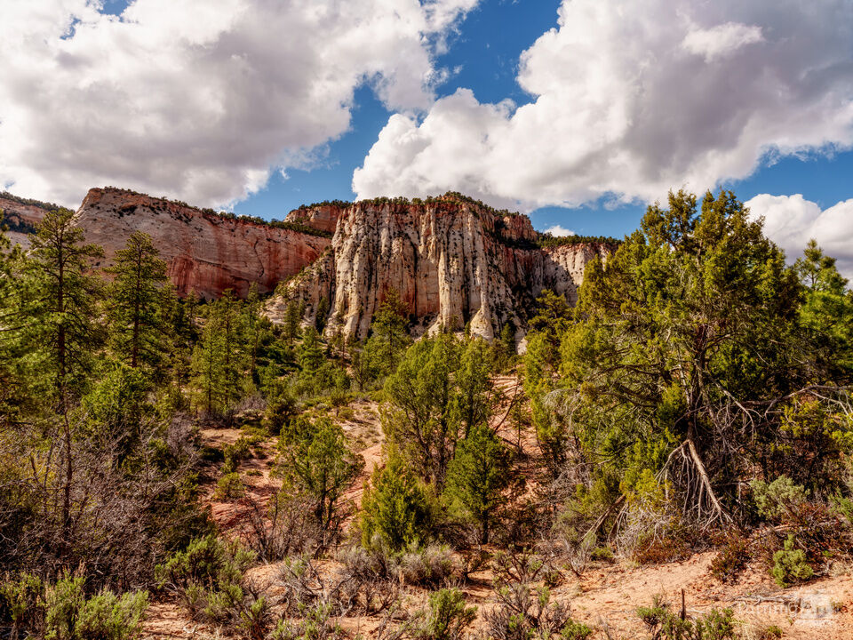 Zion Mountain View From Mt Carmel