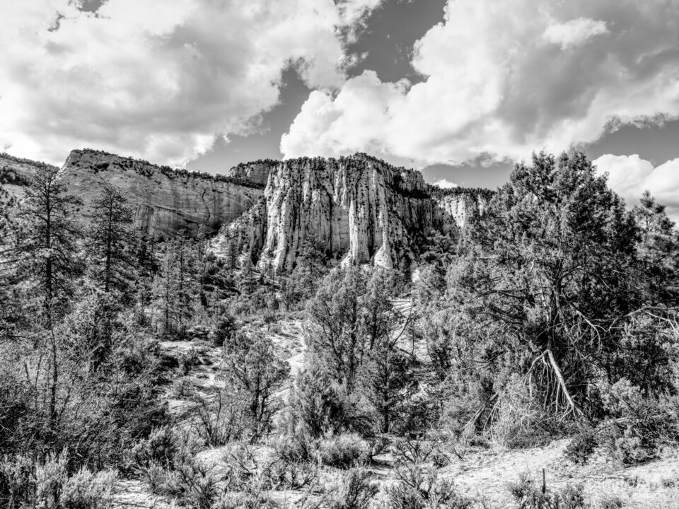 Zion Mountain View From Mt Carmel Grayscale