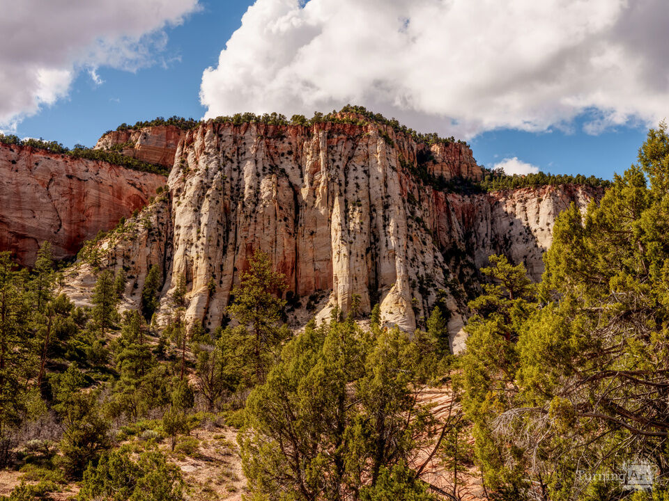Zion Scenic Highway Mountain View