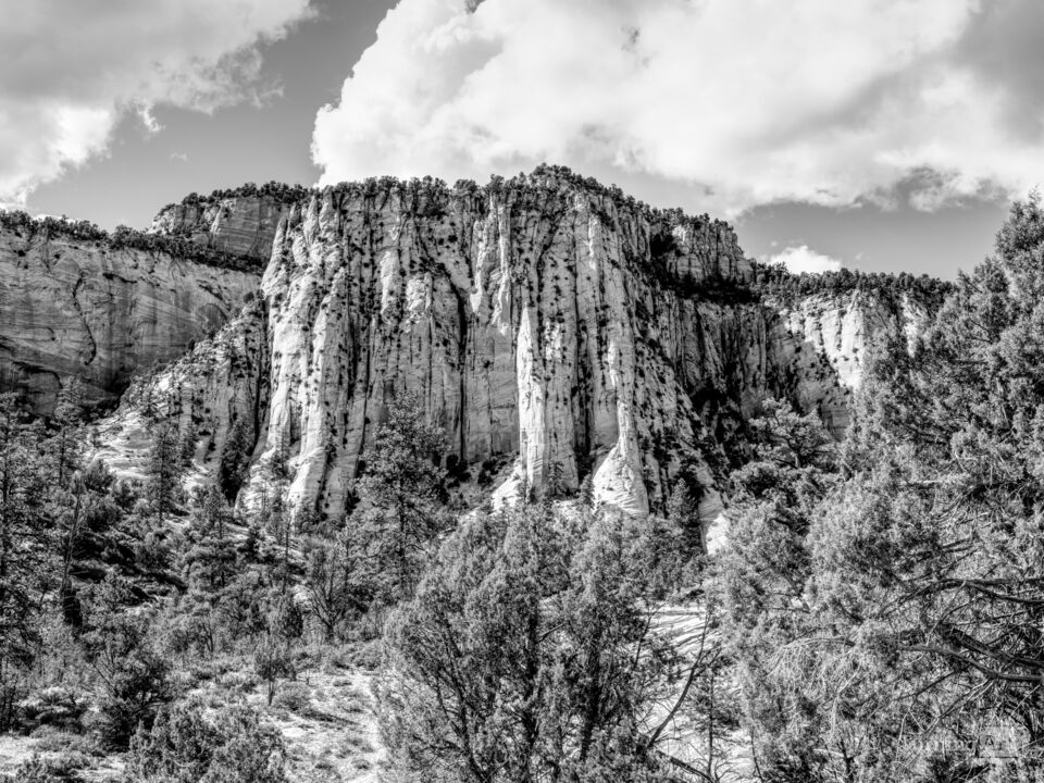 Zion Scenic Highway Mountain View Grayscale