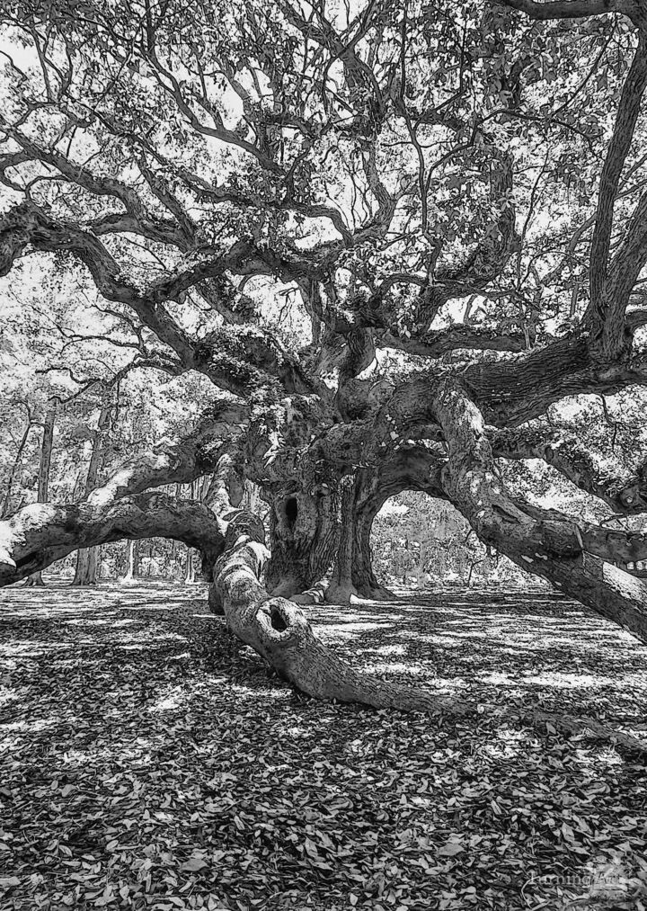 Strong And Bold Grayscale