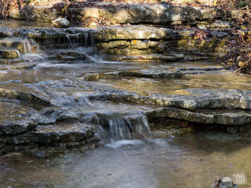 Flowing Waters At Henning Conservation