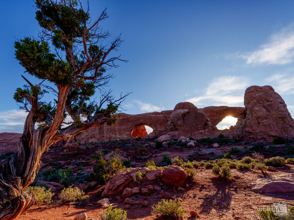 Morning At The Window Arches