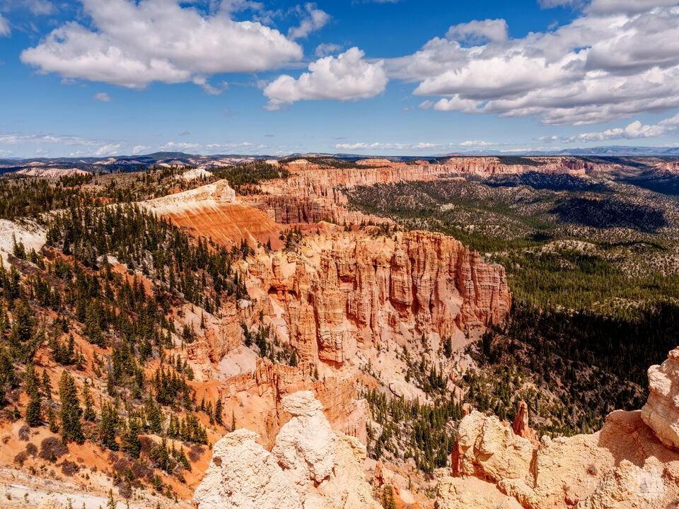 Sunlit Hoodoos Bryce Canyon Rainbow Point