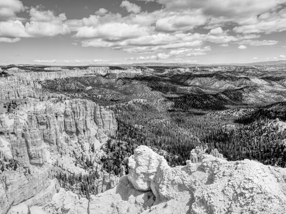 Scenic Rainbow Point Bryce Canyon Grayscale