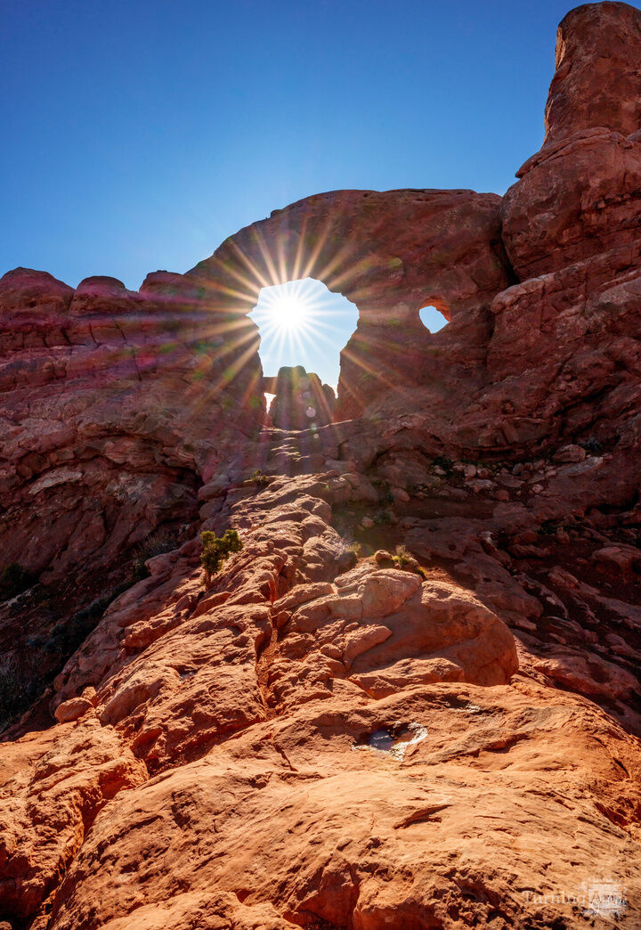 Sunburst Through Turret Arch Vertical