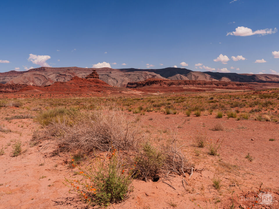 Mexican Hat Desert Landscape