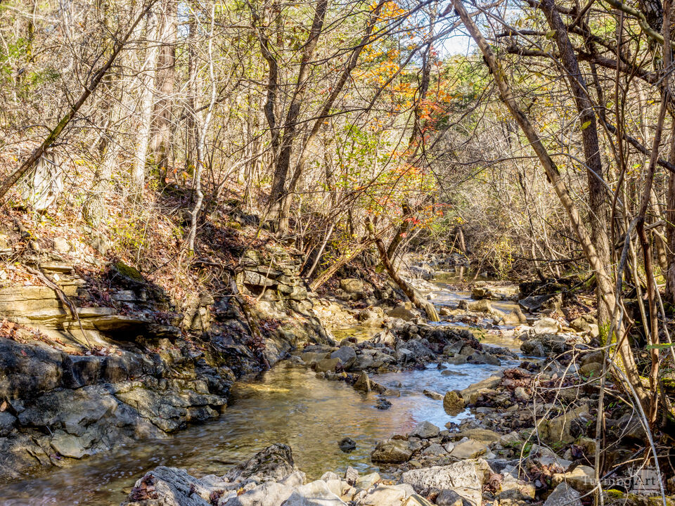 Hidden Creek In Ozarks Forest