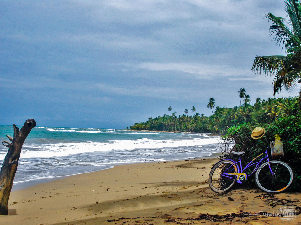 The Purple Bike Ride