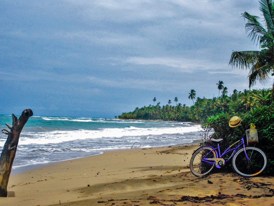 The Purple Bike Ride