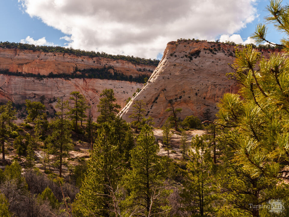 Mesa Mountains Zion East Rim