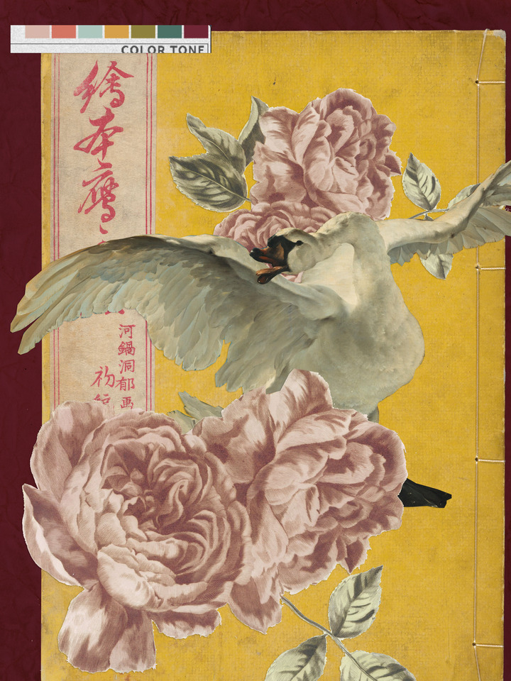 Floral Swan