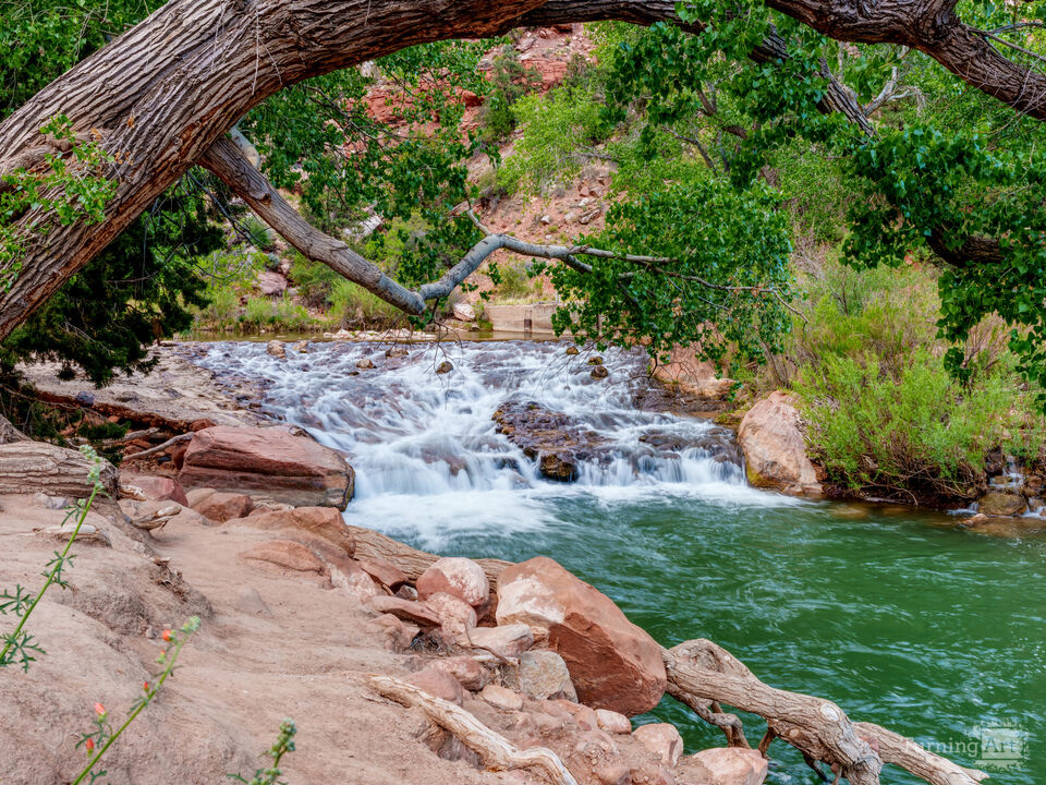 Zion Rapids And Falls Virgin River