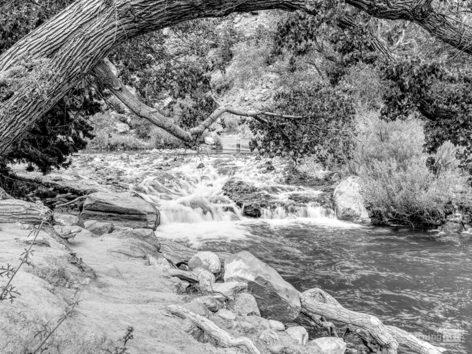Zion Rapids And Falls Virgin River Grayscale