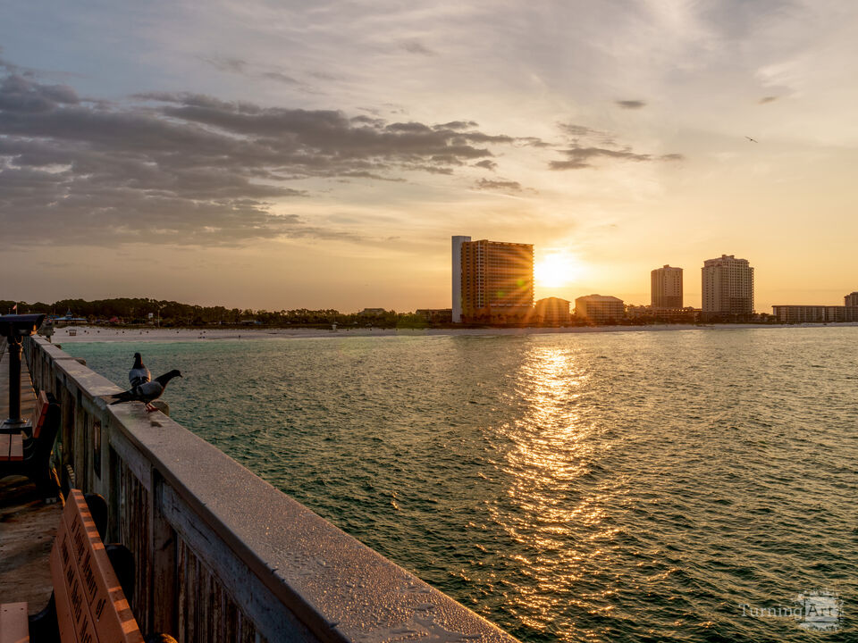 MB Miller Pier And Pigeons Sunrise