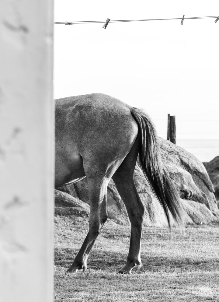Cabo Polonio, Uruguay #4