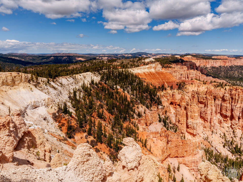 Rainbow Point Hoodoos Bryce