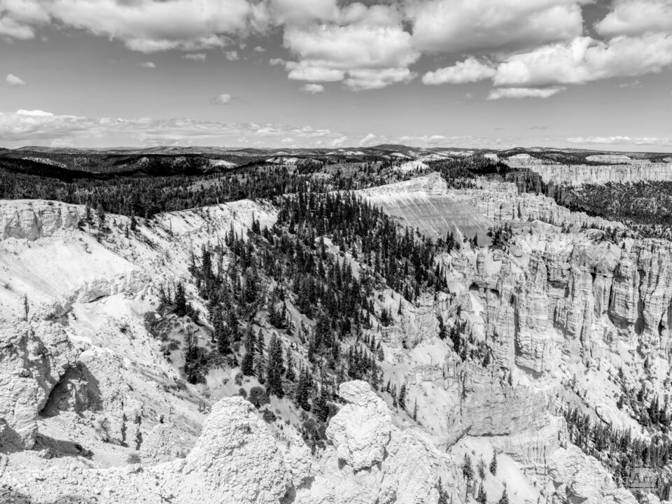 Rainbow Point Hoodoos Bryce Grayscale