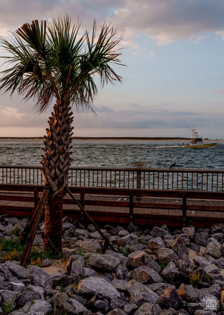 Palm Tree And Boat Perdido Pass