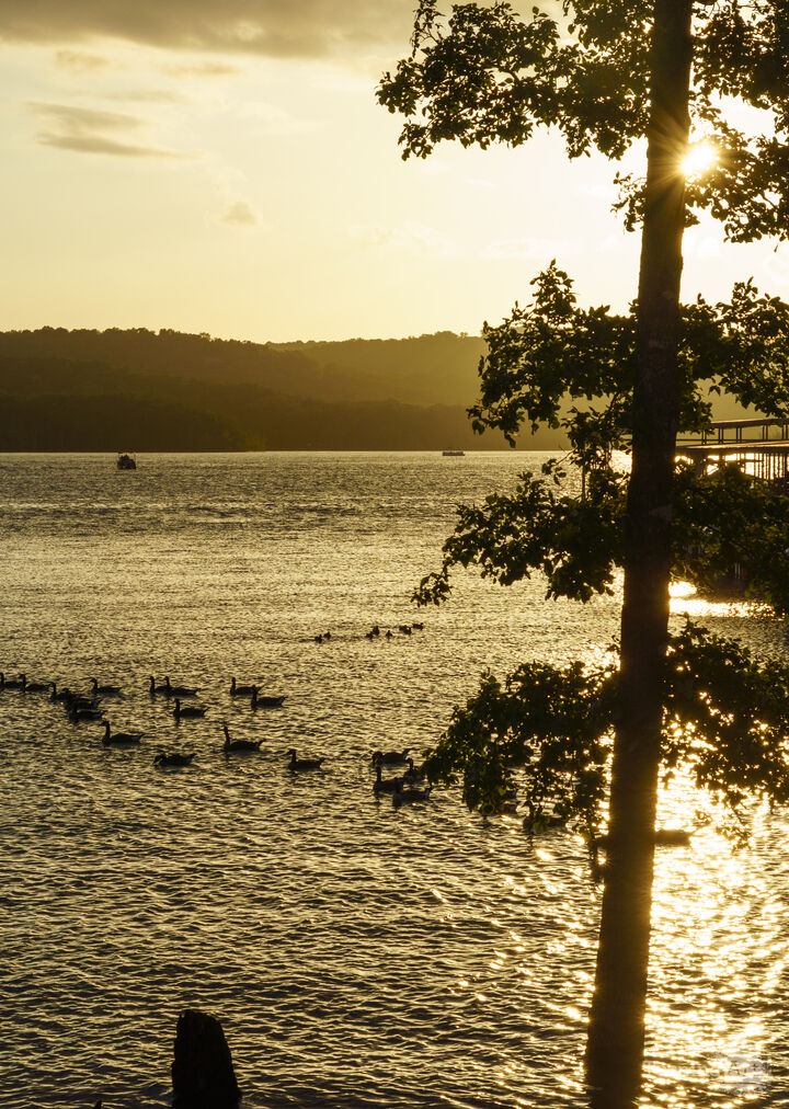 Glowing Table Rock Geese Sunset