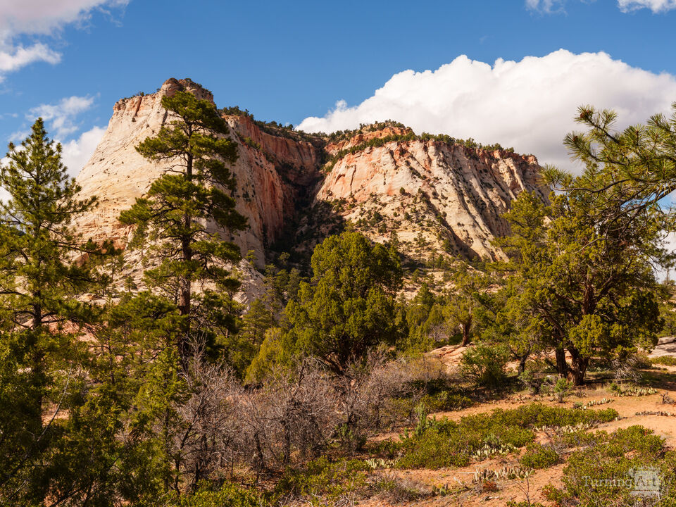 Zion East Rim Rock Mountain