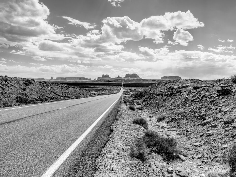 Forrest Gump Point Roadside View Grayscale