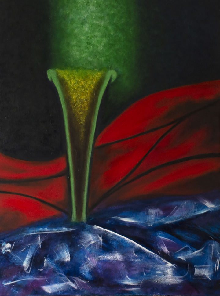 Three-spotted jewel beetle