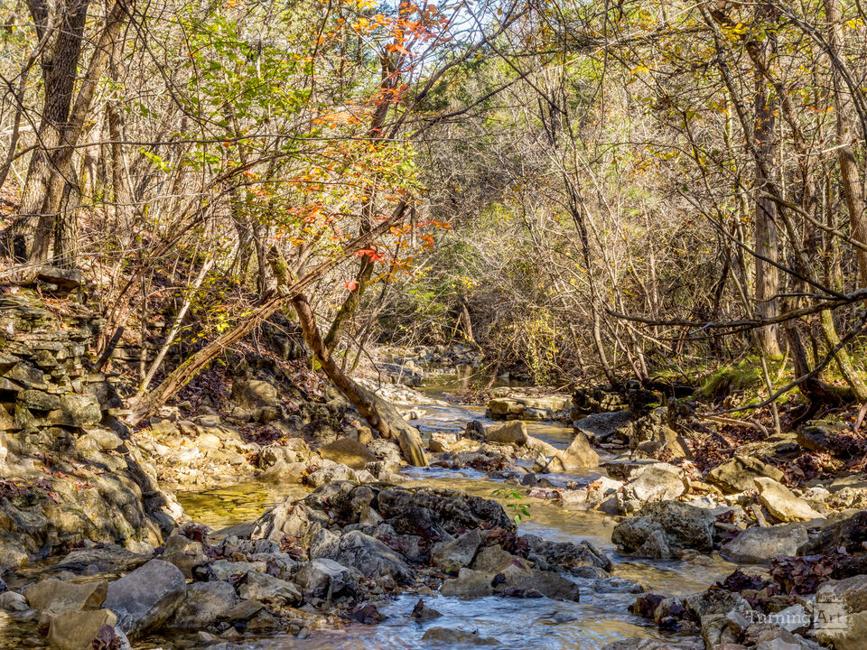 Rustic Fall Creek In Missouri Ozarks