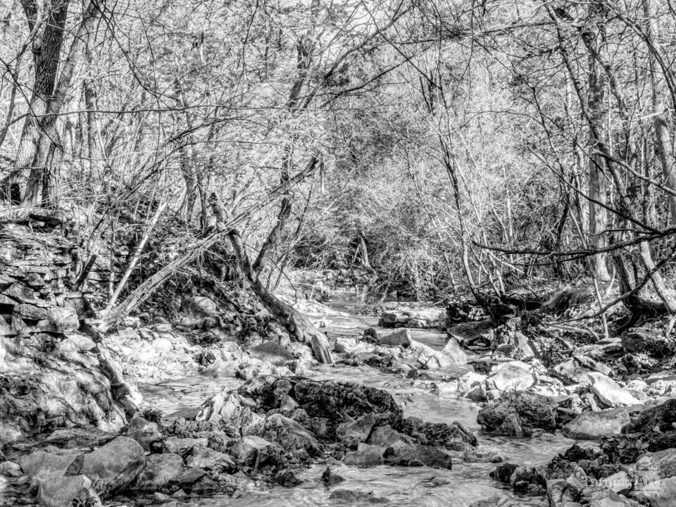 Rustic Fall Creek In Missouri Ozarks Grayscale