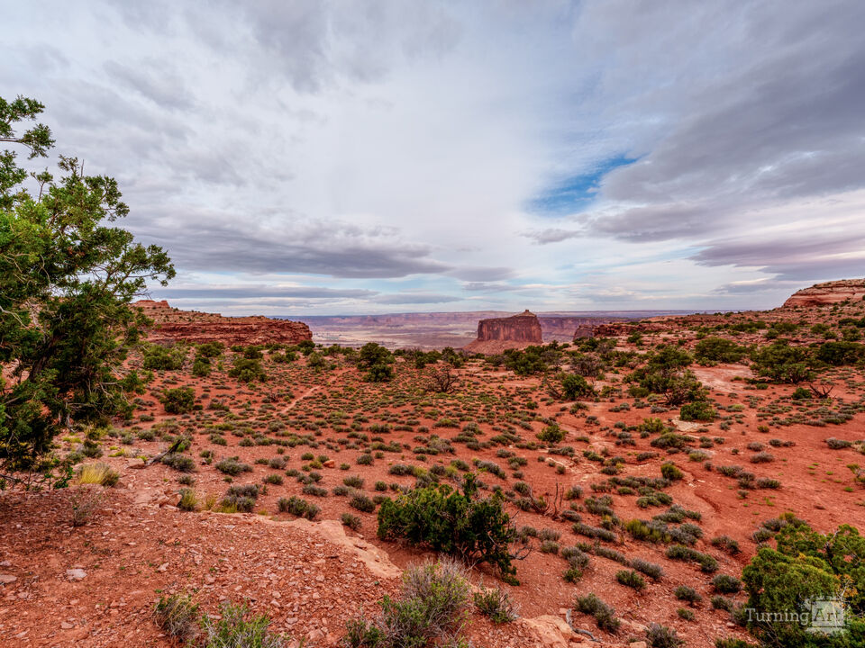 Hike To Holeman Spring Canyon