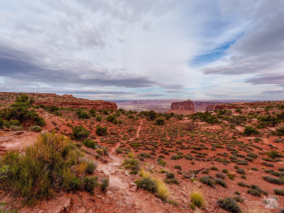 Hiking To Holeman Spring Canyon
