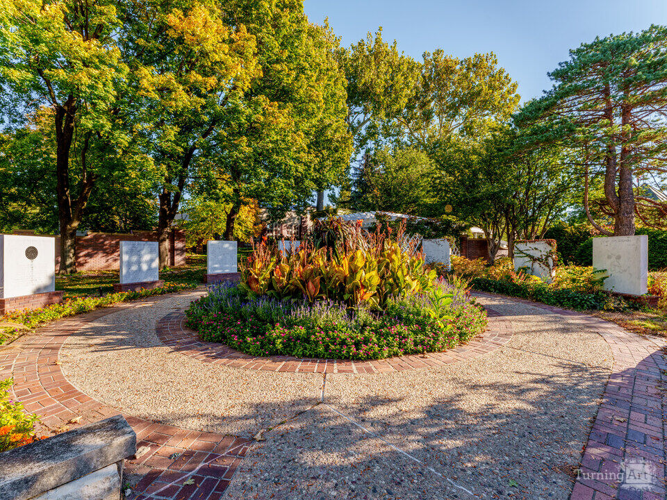 Autumn At Ford Rose Garden