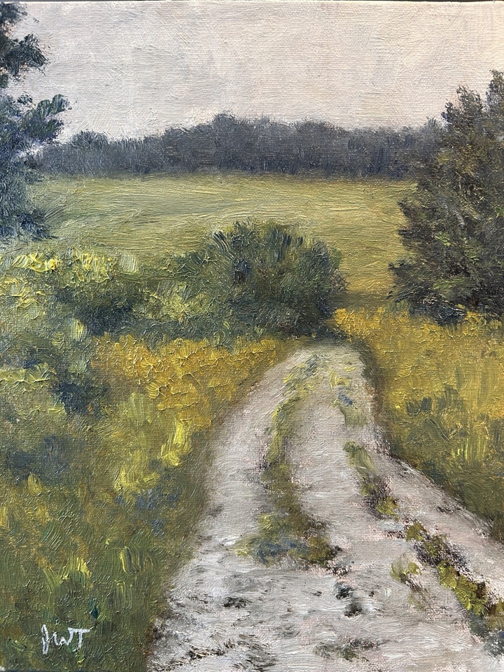 Blackberry Path - West Branch Forest Preserve