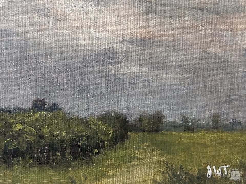 Sumacs Rise Up - DuPage County Forest Preserve