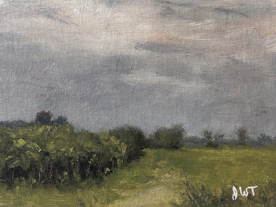 Sumacs Rise Up - DuPage County Forest Preserve