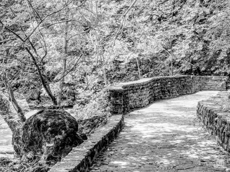 Pathway To Big Spring Grayscale